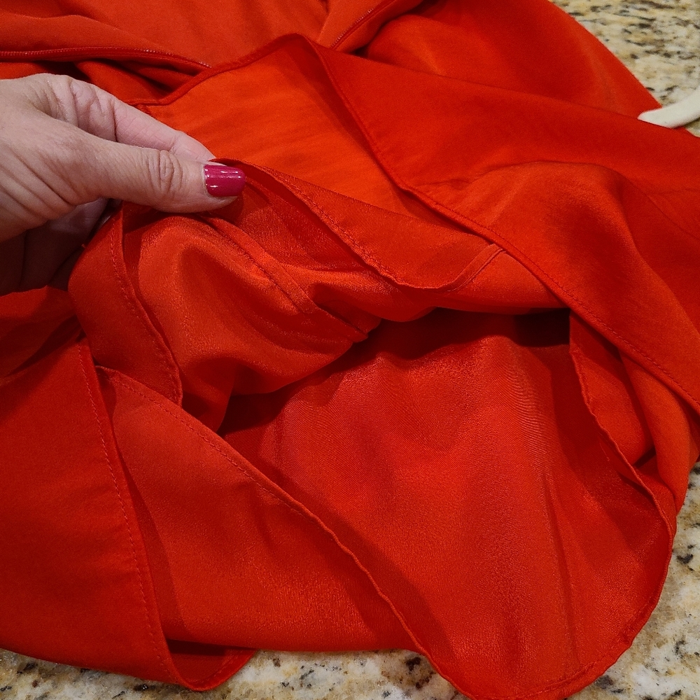 Dress Is A Stunner! - Picture 10 of 13